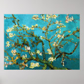 Almond Tree Van Gogh Fine Art bloeien Poster (Voorkant)