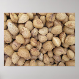 Almonds Herfst Autumn Pattern Poster