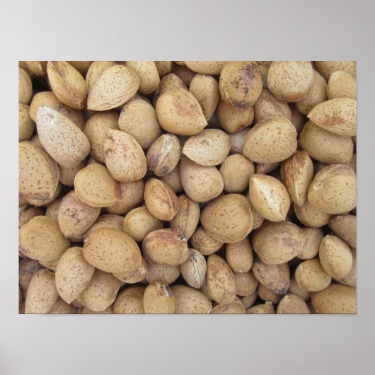 Almonds Herfst Autumn Pattern Poster (Voorkant)