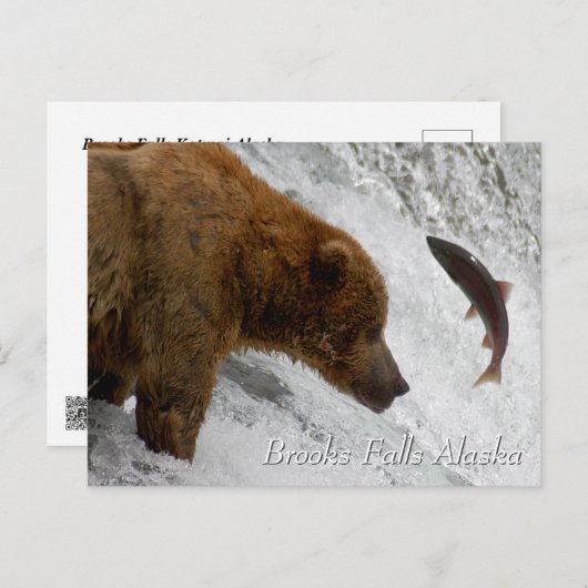 Almost, Brooks Falls Alaska  Briefkaart (Voorkant / Achterkant)