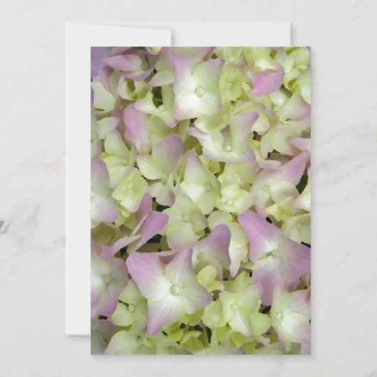 Almost Pink Hydrangea Floral Birthday Party Kaart (Achterkant)