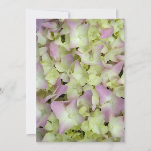 Almost Roze Hortensia Post-Huwelijks Bruiloftsontb Kaart (Achterkant)