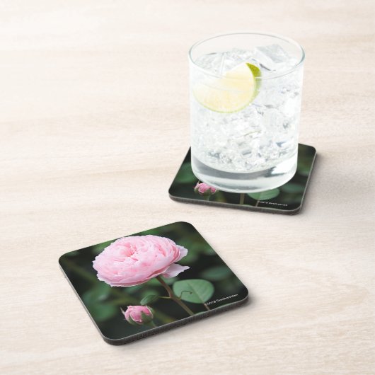 Alnwick Castle Roos Bier Onderzetter (Rechterzijde)