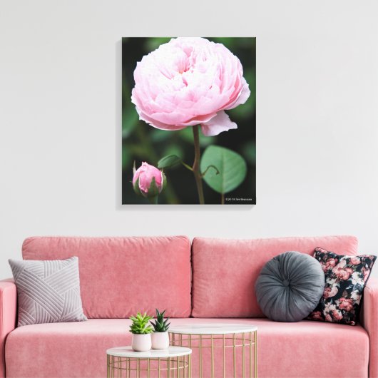 Alnwick Castle Roos Canvas Afdruk (Insitu (Woonkamer))