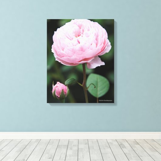 Alnwick Castle Roos Canvas Afdruk (Insitu (Houten vloer))