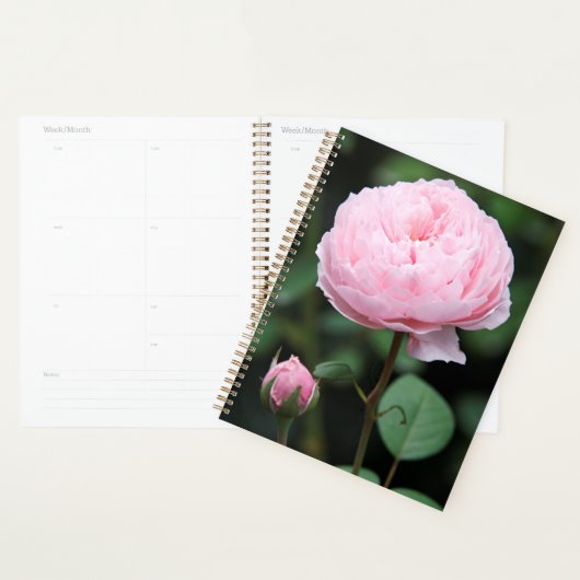 Alnwick Castle Roos Planner (Display)