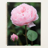 Alnwick Castle Roos Planner (Voorkant)