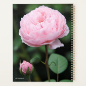Alnwick Castle Roos Planner (Achterkant)