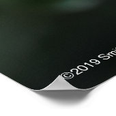 Alnwick Castle Roos Poster (Hoek)