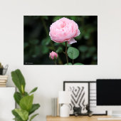 Alnwick Castle Roos Poster (Thuiskantoor)