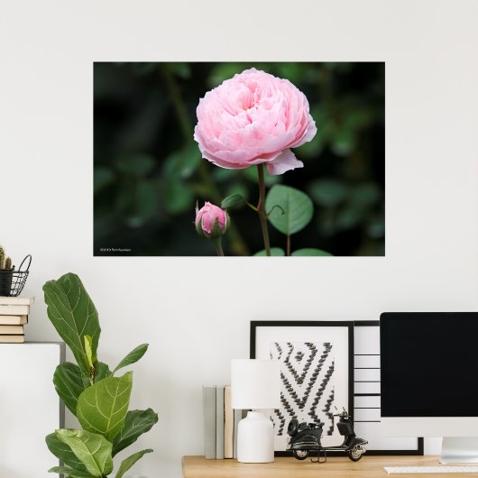 Alnwick Castle Roos Poster (Thuiskantoor)