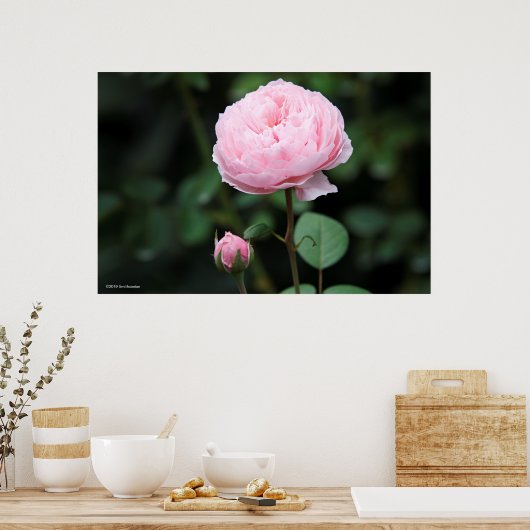 Alnwick Castle Roos Poster (Keuken)