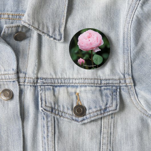 Alnwick Castle Roos Ronde Button 5,7 Cm (In situ)