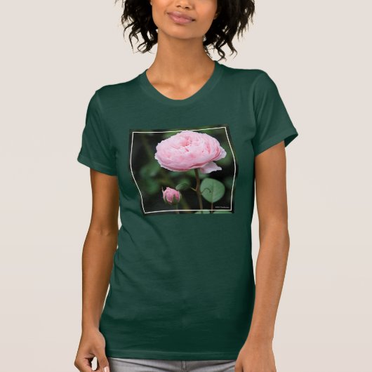 Alnwick Castle Roos T-shirt (Voorkant)
