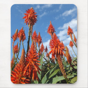 Aloe Arborescens mousepad Muismat