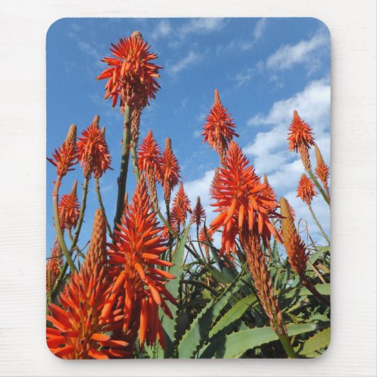 Aloe Arborescens mousepad Muismat (Voorkant)