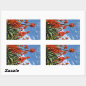 Aloe Arborescens stickers (Vel)
