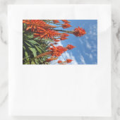 Aloe Arborescens stickers (Tas)