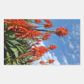 Aloe Arborescens stickers (Voorkant)