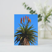 Aloe Blooming Briefkaart (Staand voorkant)
