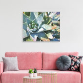 Aloë brevifolia door Debra Lee Baldwin Canvas Afdruk (Insitu (Woonkamer))