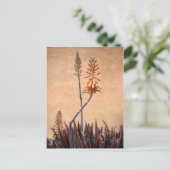 Aloe Flowers Oranje muur Briefkaart (Staand voorkant)