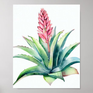 Aloe in bloei poster