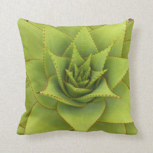 Aloe kussen van Debra Lee Baldwin