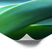 Aloe Leaves Poster (Hoek)