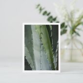 Aloe - Macro Fijne Kunst Fotografie Briefkaart (Staand voorkant)