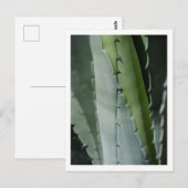 Aloe - Macro Fijne Kunst Fotografie Briefkaart (Voorkant / Achterkant)