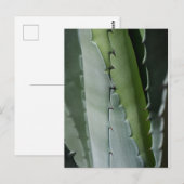 Aloe - Macro Fine Art-foto Briefkaart (Voorkant / Achterkant)