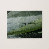 Aloe - Macro Fine Art-foto Legpuzzel (Horizontaal)