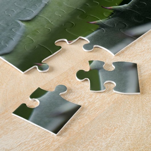 Aloe - Macro Fine Art-foto Legpuzzel (Zijkant)