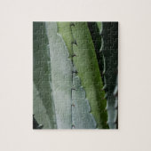 Aloe - Macro Fine Art-foto Legpuzzel (Verticaal)