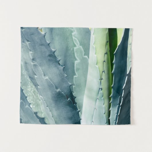 Aloe - Macro Fine Art-foto Wandkleed (Voorkant (horizontaal))