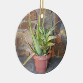Aloe Memorial Ornament (Rechts)