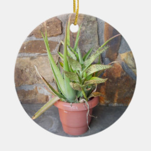 Aloe Memorial Ornament