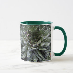 ALOE MOK