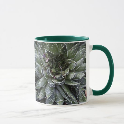 ALOE MOK (Rechts)