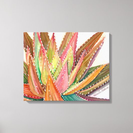 Aloe nobilis waterverf door Debra Lee Baldwin Canvas Afdruk (Voorkant)