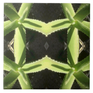 Aloe Pattern 3h Tegeltje