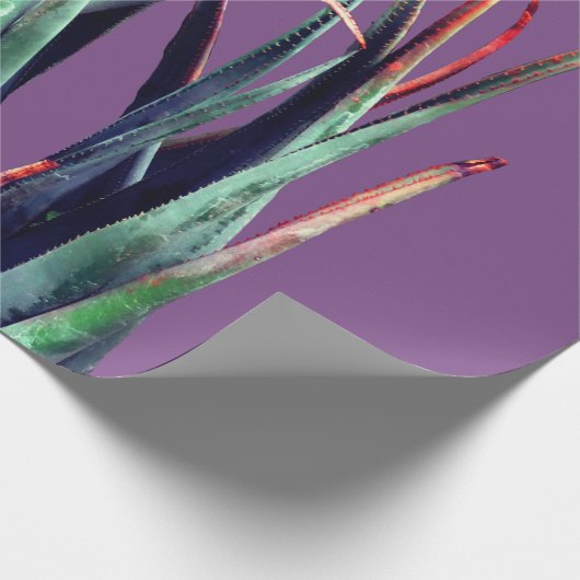 ALoe Plant foto inpakpapier (Hoek)