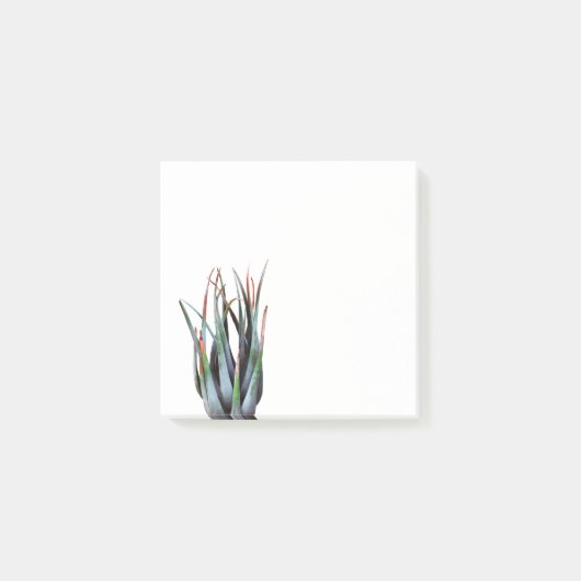 ALoe Plant Foto Kunst Notities Post-it® Notes (Voorkant)