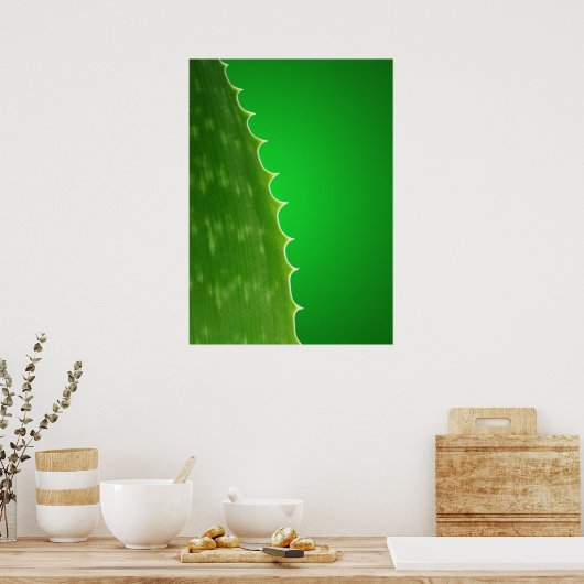 Aloe plant poster (Keuken)