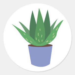 Aloe Plant Ronde Sticker