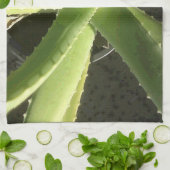 Aloe Plant Theedoek (Gevouwen)