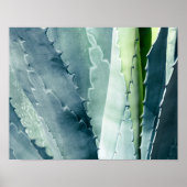 Aloe Poster (Voorkant)