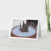 Aloe Twilight Zone Vetplant Kaart (Voorkant)