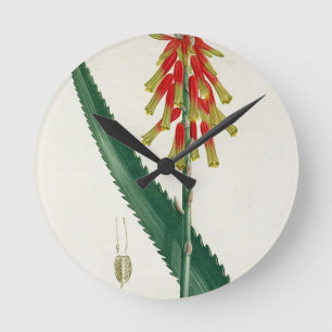 Aloe van 'Phytographie Medicale' door Joseph Roque Ronde Klok